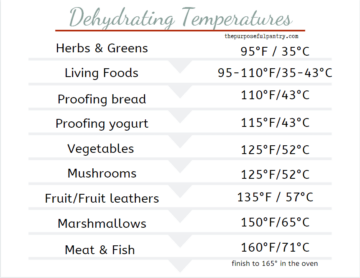 Test The Temperature On Your Dehydrator For Safe Dehydrating The 