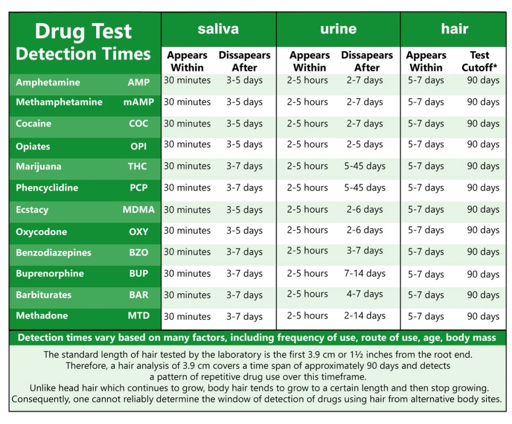 Thc Detection Times In Urine 2024 Lok Lida Sheila
