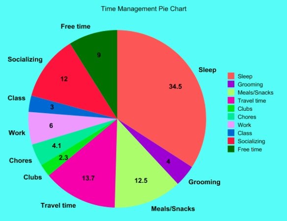 Time Management Pie Chart Pie Chart Template Time Management