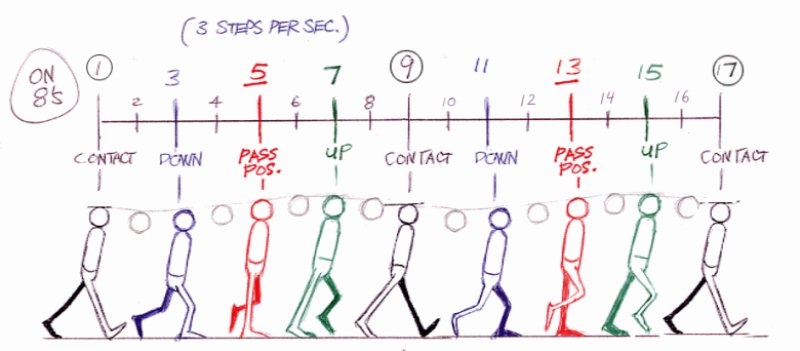 What Is Animation Timing Chart And How To Practice Them
