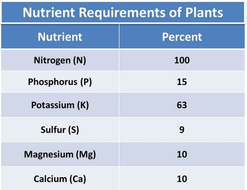 What Is The Best NPK Ratio For Growing Plants