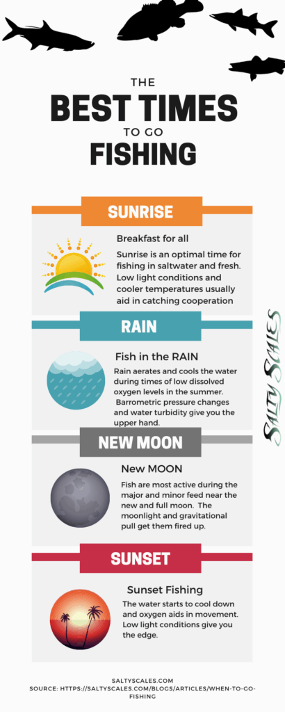 When To Go Fishing A Comprehensive Guide Fishing Tips Crappie 